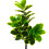 Living And Home 150cm Artificial Triple-Trunk Ficus Elastica Tree in Pot 5