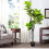 Living And Home 150cm Artificial Triple-Trunk Ficus Elastica Tree in Pot 1