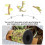 2Rolls Chic DIY Emulerad Lövrottande Dekor Lövrep Scenlayout 2