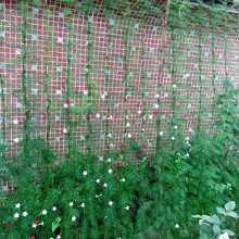 Garden Trellis Netting 180 x 180 cm Green Nylon Vertical Plant Support Net for Vegetables and Vines