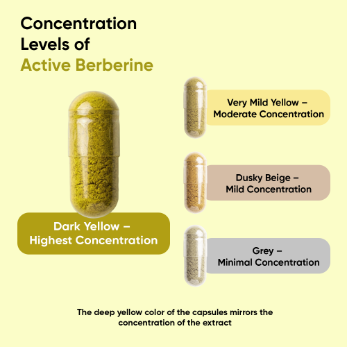 WeightWorld Berberine 500mg 120 Capsules 2