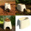Artificial Ceramic Cave for Decorating Fish Tanks Aquarium 2