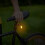 Black Bicycle Tail Light for Road and Mountain Bikes 3
