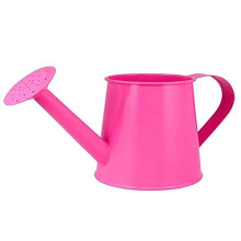 Mini Metal Watering Can for Indoor Plants, Long Spout Garden Tool for Bonsai, Rosso
