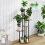 5-Tier Plant Stand - Space-Saving Display Shelves 2