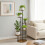 5-Tier Plant Stand - Space-Saving Display Shelves 3