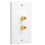 White Single Gang Banana Plug Wall Plate, Durable Copper Core, Easy Tool‑ Speaker Connection 1