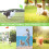Blue Dream 3-pack hundfrisbees - 22 cm - Gummi 5