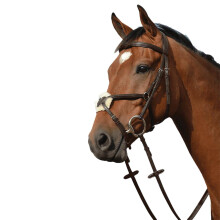 (Warmblood, Brown) Collegiate Syntovia+ Padded Raised Figure 8 Bridle