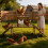 Bingopaw Chicken Roosting Perches with Swing 2