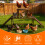 Bingopaw Chicken Roosting Perches with Swing 4