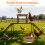 Bingopaw Chicken Roosting Perches with Swing 5
