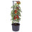 GEEZY GEEZY 4-Tier Tomato Planter Pot Vegetables Vine Trellis Support Climbing Vegetables 1