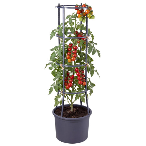 GEEZY GEEZY 4-Tier Tomato Planter Pot Vegetables Vine Trellis Support Climbing Vegetables