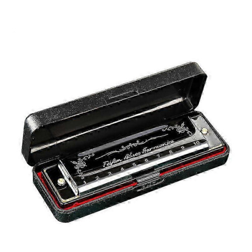 Professional 10-Hole C Harmonica for Beginners, 20 Reeds Blues Deluxe, Black
