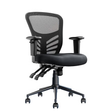 Ergonomic Mesh Office Chair with Lumbar Support, Adjustable Mid Back Design, Extra Padded Seat, Black