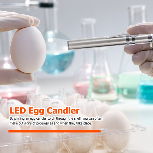 Mini LED-lykt for egglysing 2