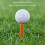 3-delte golftees kaffe-tee driving range 60/70/80 mm 4