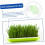 Double Layer Hydroponic Germination Tray with Humidity Control Lid for Home Seed Sprouting and Microgreens 5