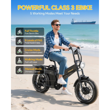 TESWAY X7-AWD 200NM Electric Bike 52V 60Ah Dual MOTOR 20" Fat Tire EMountain Bike 320KM
