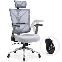 Ergonomic Mesh Office Chair for Back Pain, Back Desk Chair with Adjustable Lumbar Support, 2D Flip‑up Armrests, Headrest, Grey