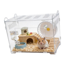 Heldere acrylreptielenterrariumkweekbox met veilig
