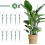 10 Pack Stackable Plant Support Stakes for Monstera, Adjustable Durable Garden Stakes for Climbing and Potted Plants 1
