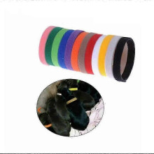 12 PCS Puppy Collars Set - Adjustable Nylon Colorful Collars for Small Pets, Cats & Dogs - Ideal for Newborns and Puppies