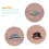 Multifunctional Violin Measuring Tool for Setup and , Precise Measurement Support 2