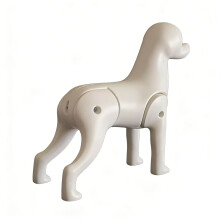 Mannequin d'affichage de chien de cheveux-Bichon Frise Squelette