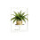 Support vertical de jardin en fer peu encombrant pour une-UN 1