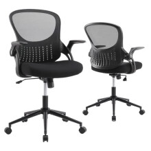 Ergonomic Mesh Office Chair with Lumbar Support, Flipup Armrests, Adjustable Height for Home Desk, Black