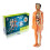 (Translucent) Clear Human Body Structure Model,3D Anatomy Figure Kit  Removable Organs, Bones 1
