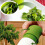 Herb Grinder: Spice Mill for Parsley, Fruit & Vegetable Chopping 5