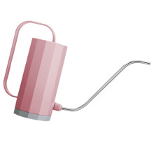 Small Indoor Watering Can with Long Stainless Steel Spout, Nordic Design for Houseplants and Succulents