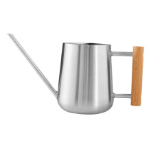 Stainless Steel Watering Can with Long Spout and Wooden Handle for Indoor Plants and Succulents Ref: 1921