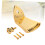 8 String Mandolin Tailpiece Shiny Gold Finish with Screws Quick String Change Removable Cover 5