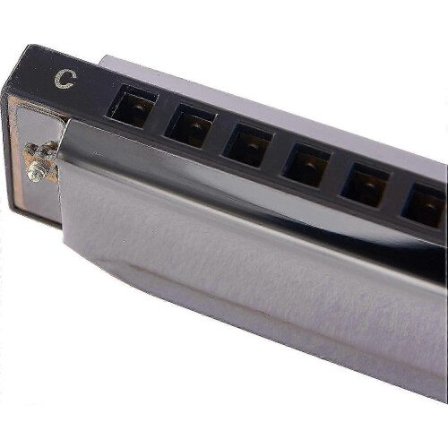 Professional 10-Hole C Harmonica for Beginners, 20 Reeds Blues Deluxe, Black 1