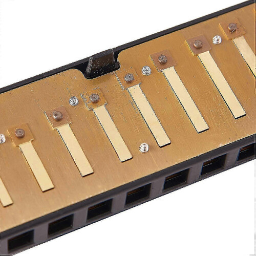 Professional 10-Hole C Harmonica for Beginners, 20 Reeds Blues Deluxe, Black 2