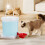 Haustier-Wasserspender, Eimer, Hunde- und-5L 4