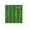 Pack Of 164 Football Themed Tableware Set Includes Plates Cups 6