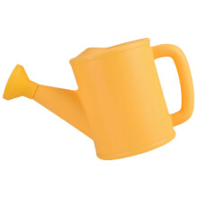 Small Indoor Watering Can with Detachable Spout, Ergonomic Grip for Houseplants Garden Balcony