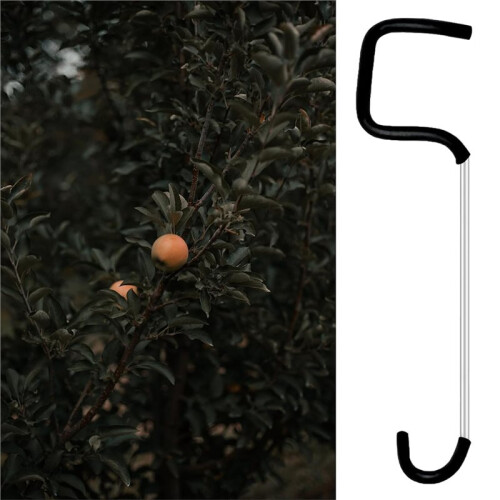 Fruit Tree Limb Spreader, Branch Puller with Hose Protection for Gentle Training and Healthy Growth 30 PCS 1