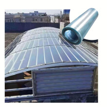 Polycarbonate Greenhouse Panels 0.8mm Clear UV Resistant Roofing Sheet for Gardening and Plant Growth