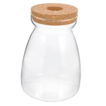 Large Glass Terrarium Jar with Lid for Hydroponic Propagation, Clear Display and Indoor Plant Decor