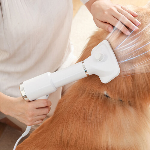 Grooming Elegance: Στεγνωτήρας κατοικίδιων με προστασία από υπερθέρμανση, για μια ασφαλή 1