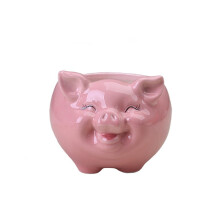 Cute Nordic Ceramic Flower Pot for Succulent Plants, Durable Cartoon Planter for Home Décor