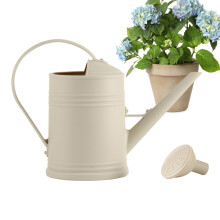 Small Plant Watering Can 2L with Long Spout and Ergonomic Grip, Lightweight Decorative Pot for Indoor or Balcony Garden
