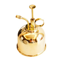 Brass Plant Mister and Watering Can Set, 2 in 1 Indoor Plant Care with Fine Mist Sprayer