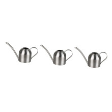 Indoor Stainless Steel Watering Can with Precise Pour Control and Ergonomic Handle for Houseplants